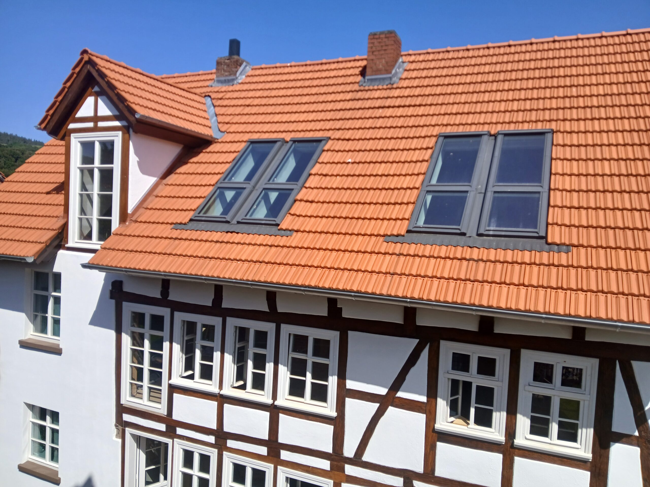 Dachfenster 1